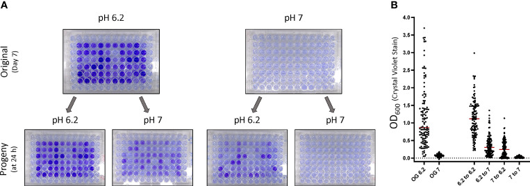 Figure 5