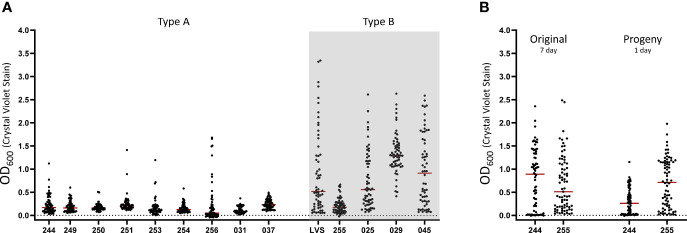 Figure 3