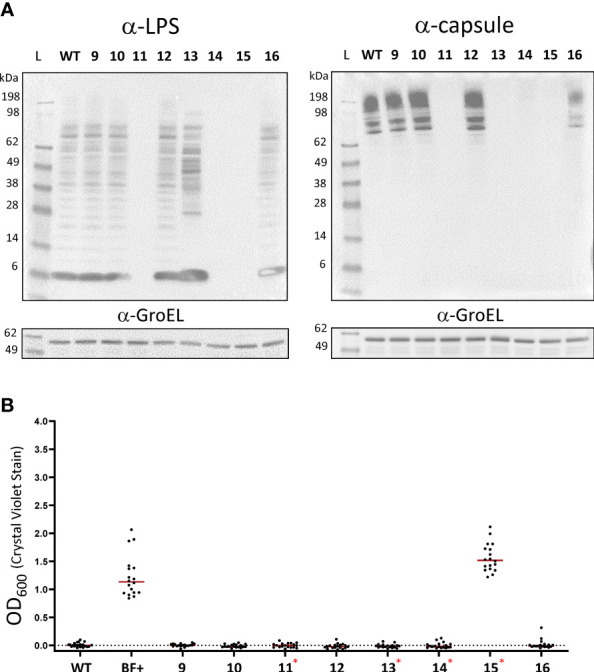 Figure 7