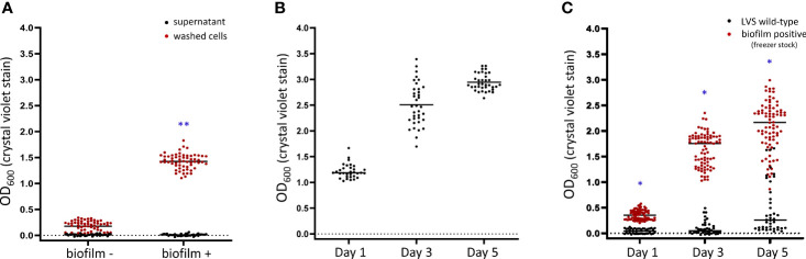 Figure 6