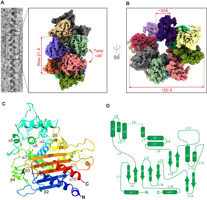 Fig 2