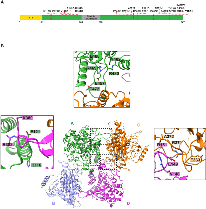 Fig 6