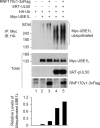 FIG 9