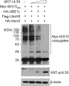 FIG 2