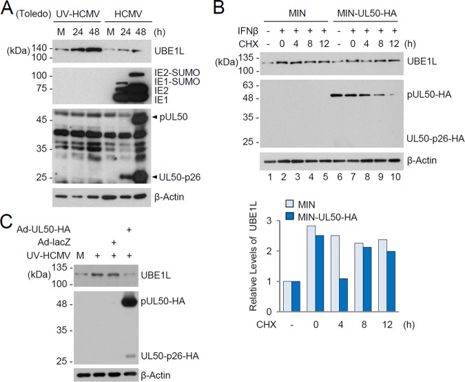 FIG 4