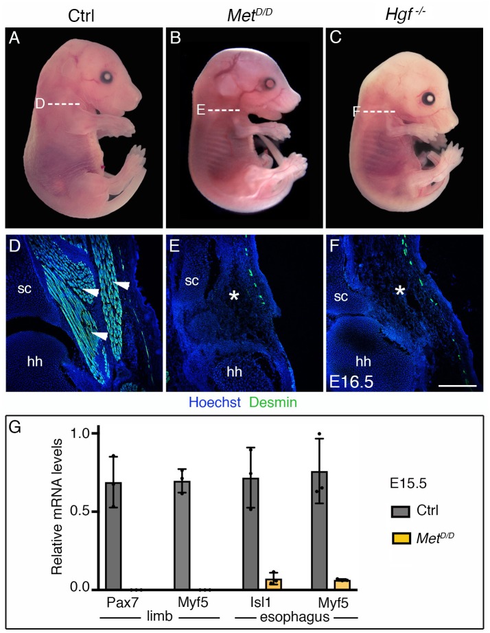 Figure 2—figure supplement 2.