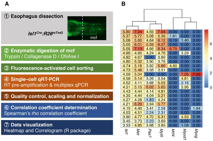 Figure 5—figure supplement 2.