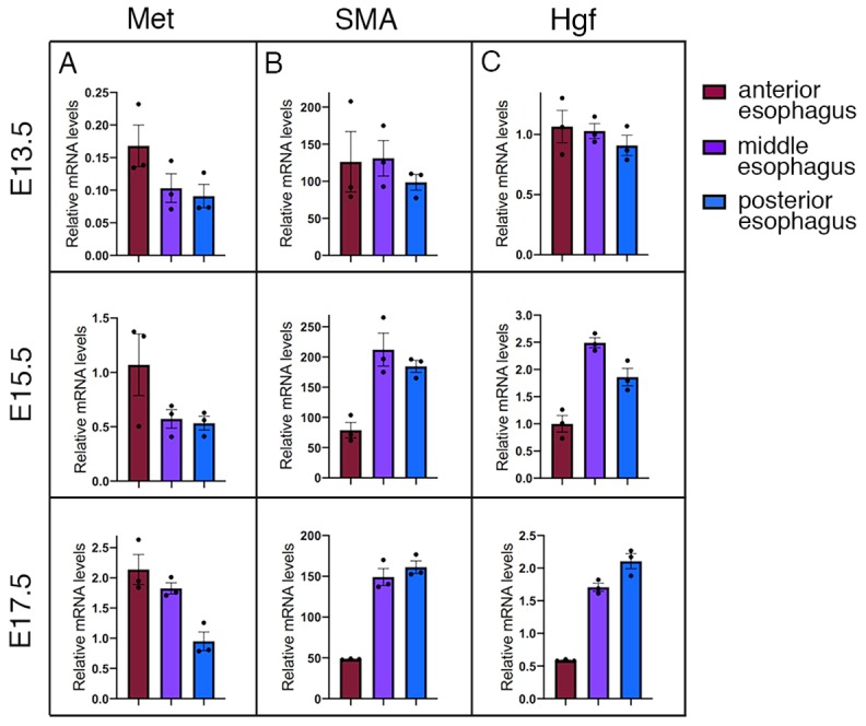 Figure 2—figure supplement 1.