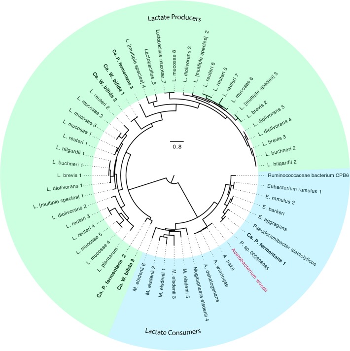 FIG 11