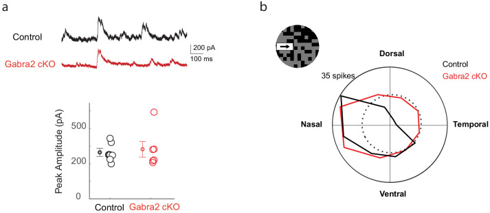 Figure 1—figure supplement 1.