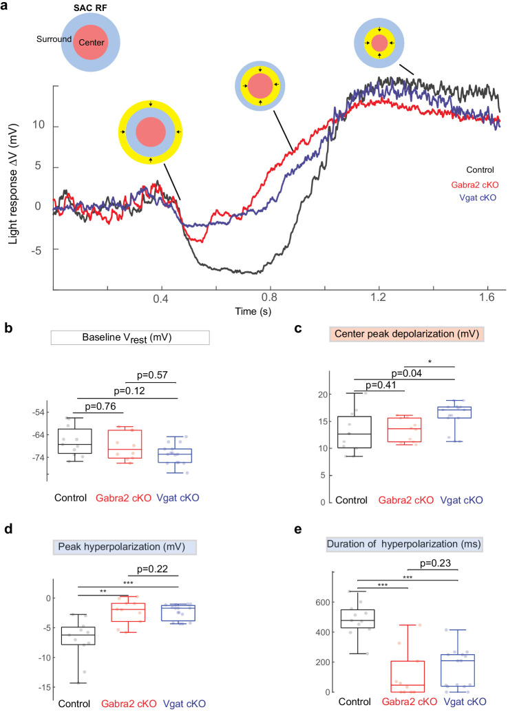 Figure 2—figure supplement 1.