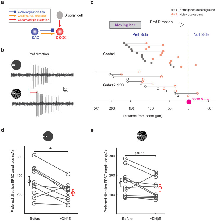 Figure 1—figure supplement 2.