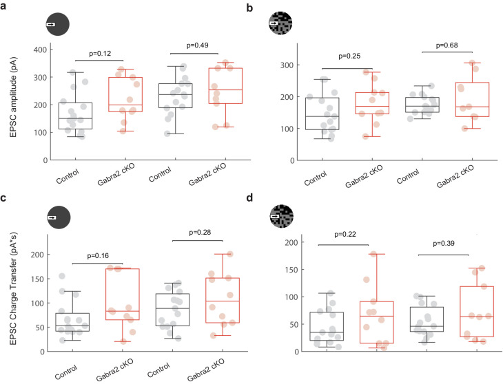 Figure 1—figure supplement 3.