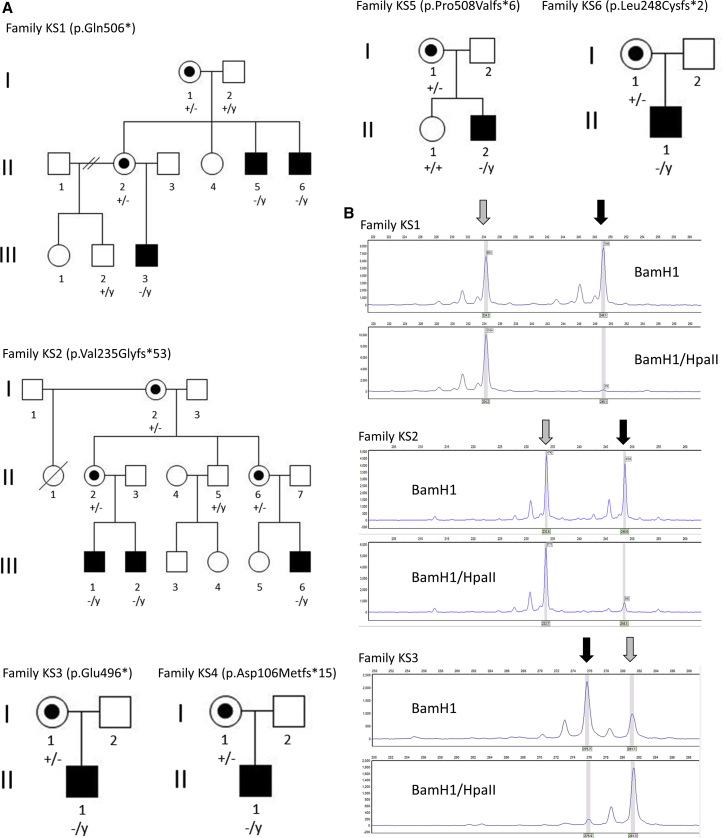 Figure 1