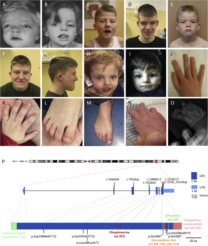 Figure 2