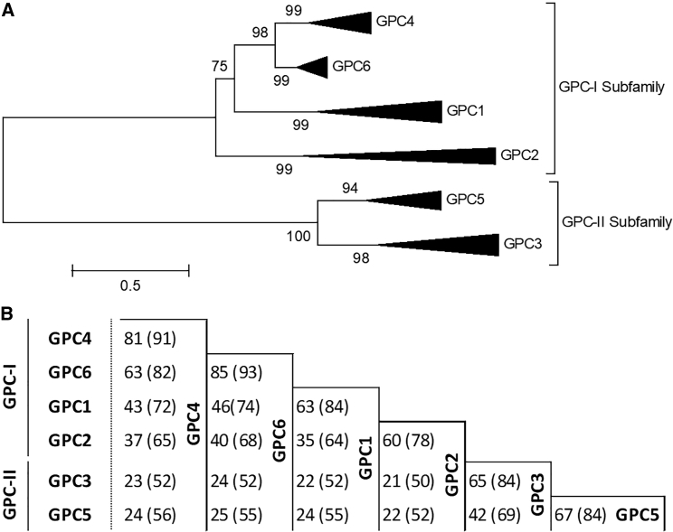 Figure 4