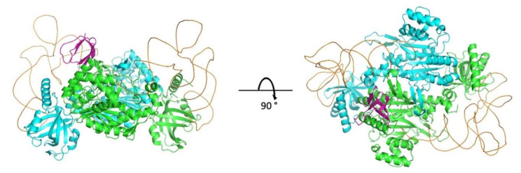 Figure 7