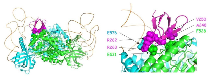 Figure 10