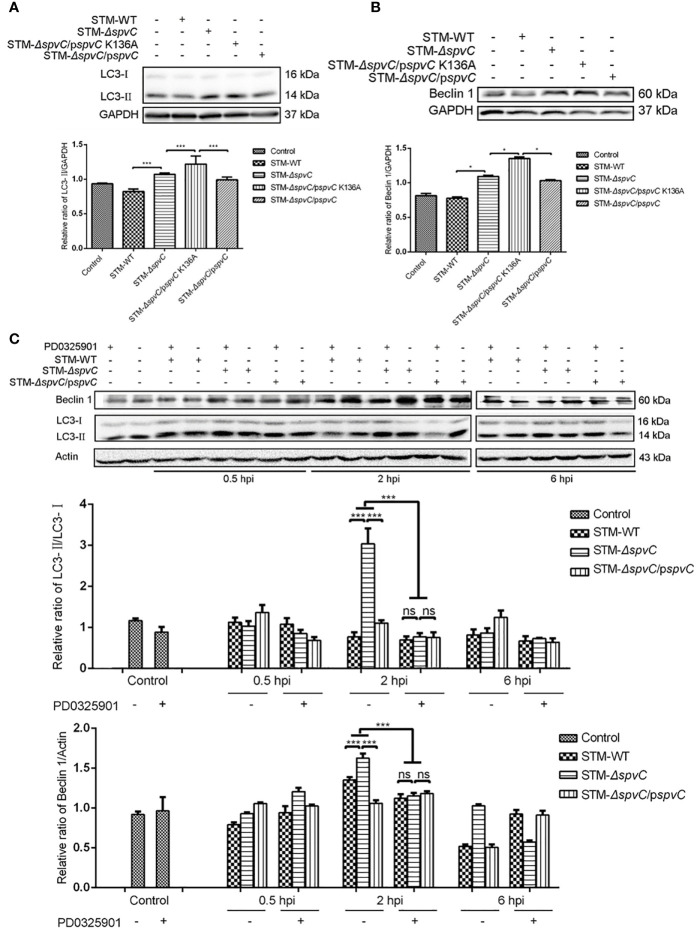 Figure 3