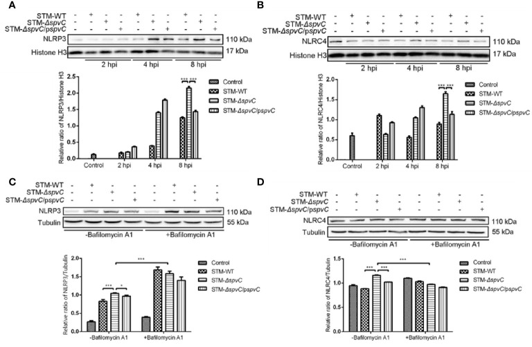 Figure 4