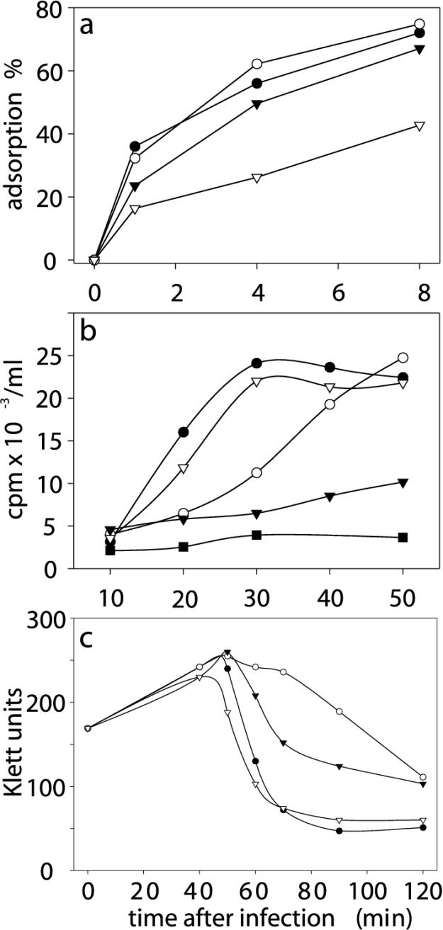 FIG. 5.