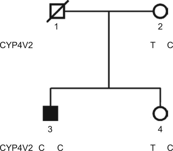 FIGURE 3