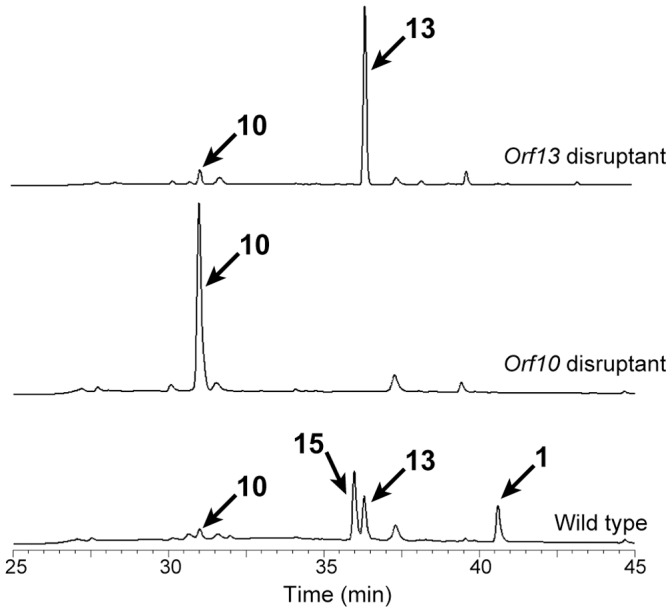 Figure 6