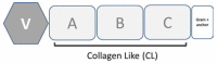 Fig. (6)
