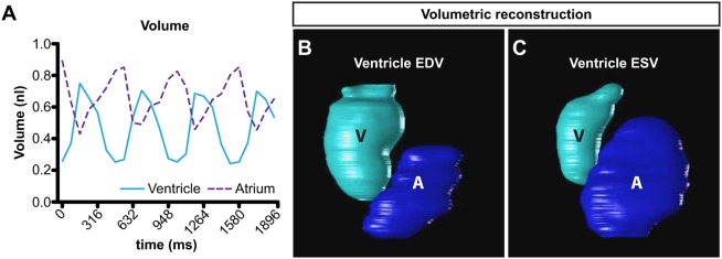 Fig. 5.