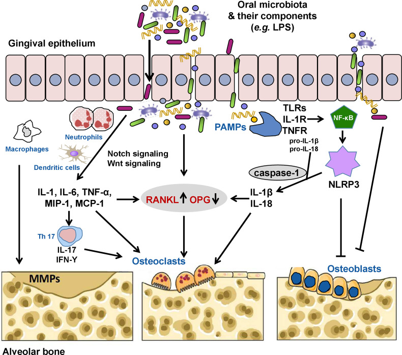 Figure 1