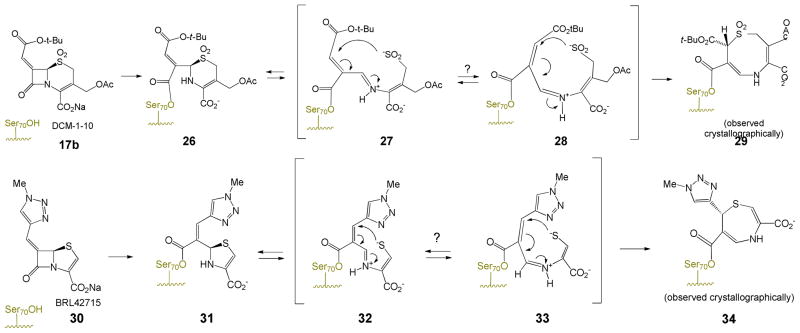 Schemes 7a and 7b