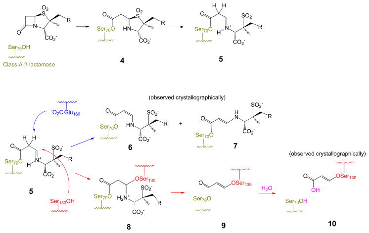 Scheme 1