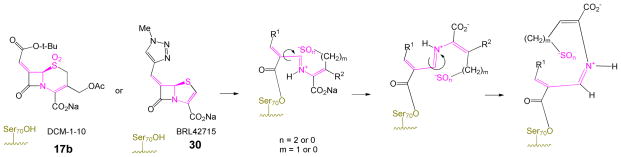 Scheme 9