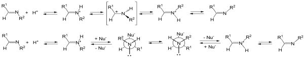 Schemes 8a and 8b