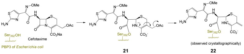 Scheme 5