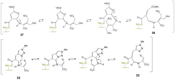 Scheme 10