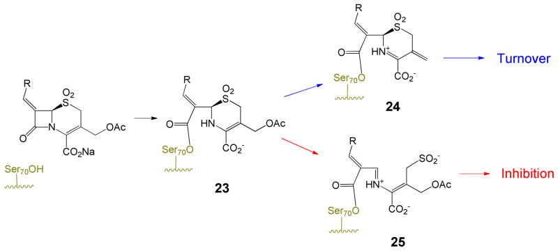 Scheme 6