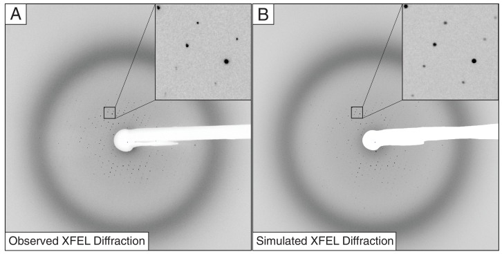 Figure 3.