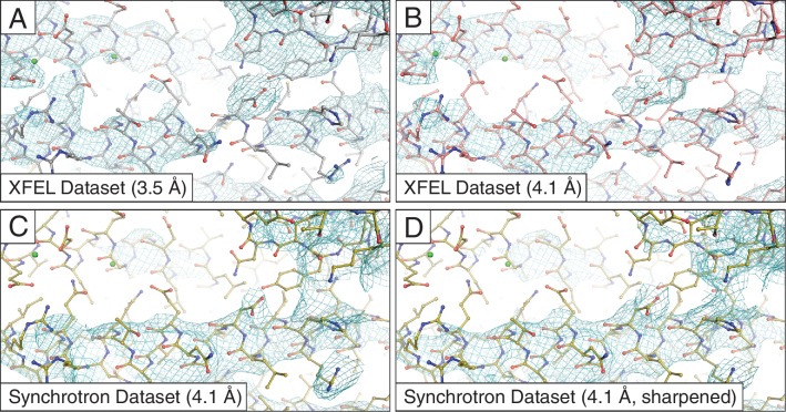 Figure 1—figure supplement 2.