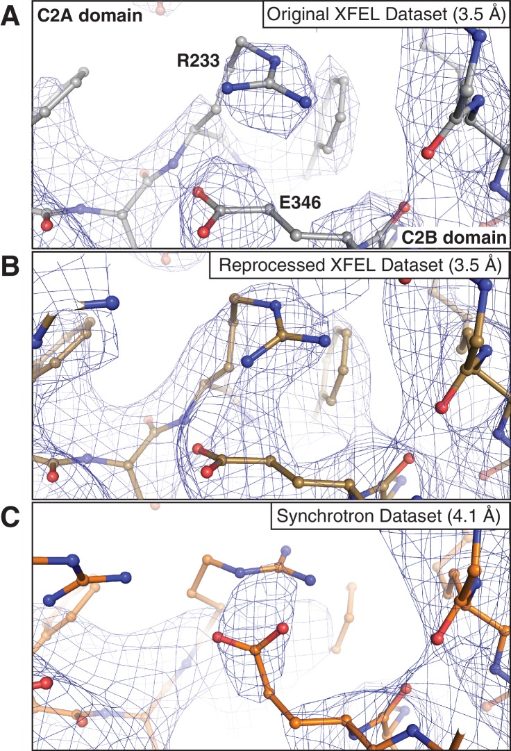 Figure 1—figure supplement 1.