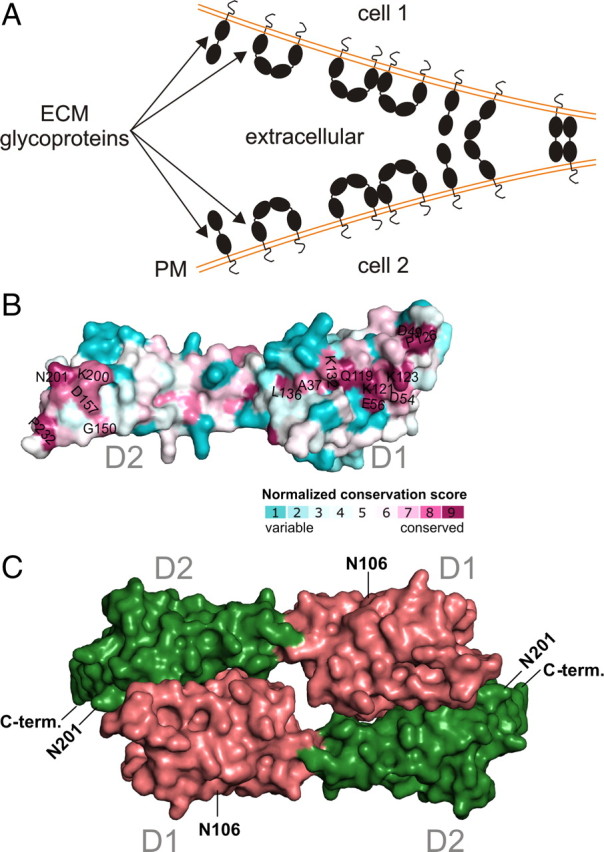 Figure 9.