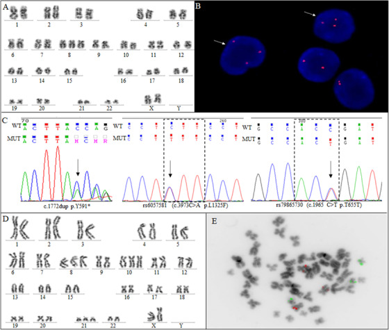 FIGURE 1