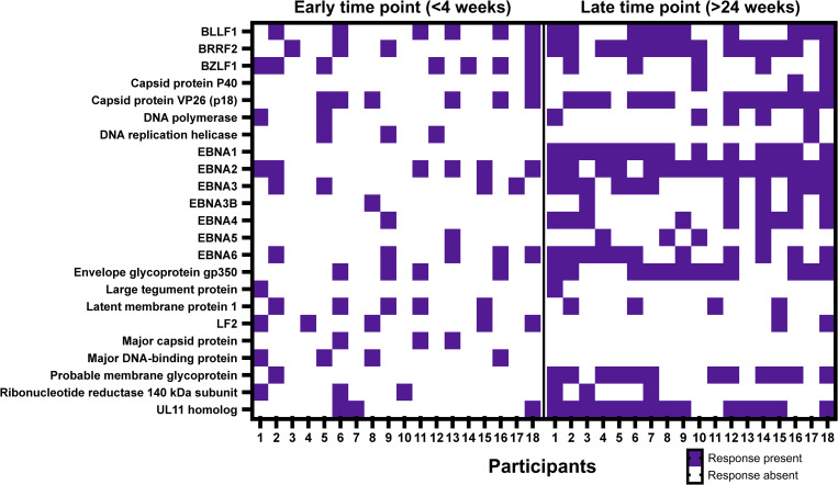 Fig 7