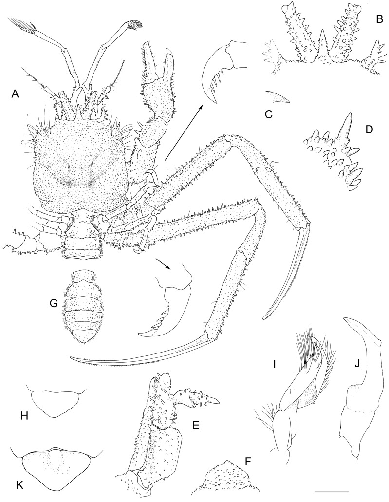 Fig. 4.