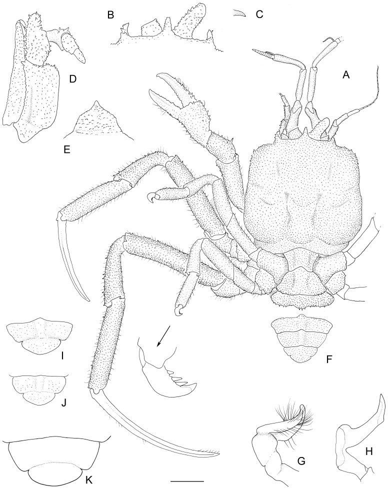 Fig. 2.