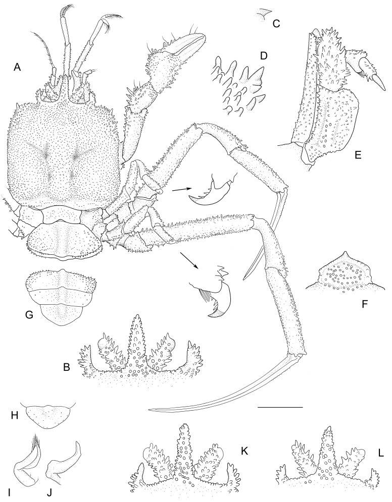 Fig. 5.