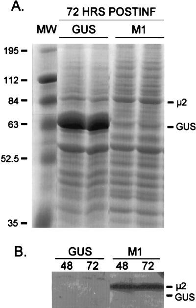 FIG. 3