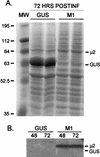 FIG. 3