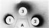 255