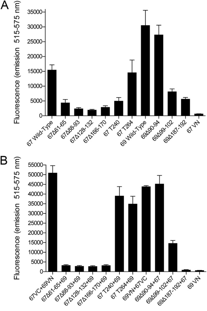 Fig 6